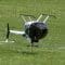 HUGHES 500 RC MODEL HELICOPTER FLIGHT BJÖRN DOMMERSHAUSEN MULTIPLEX AIRSHOW BRUCHSAL 2017
