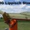 RRG Lippisch Storch V | scale RC flying wing aerobatics | Dub 2020